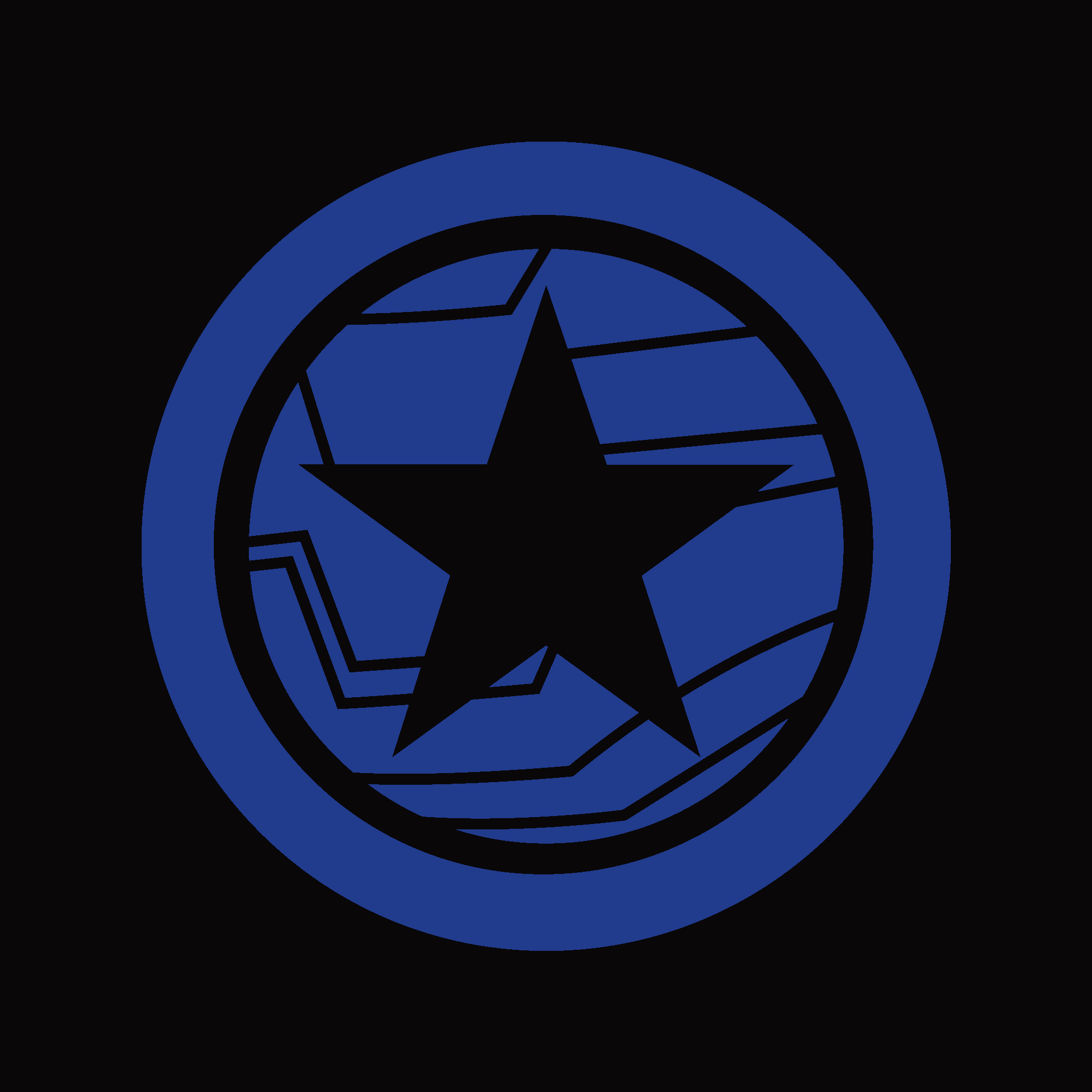 Winter Soldier Logo